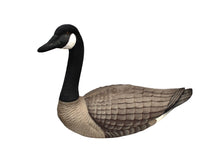 Load image into Gallery viewer, Two Ariduk Vintage Goose Decoys