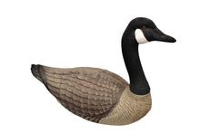 Load image into Gallery viewer, Two Ariduk Vintage Goose Decoys